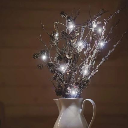 LED  řetěz 20xLED/2xAA 2,4m studená bílá