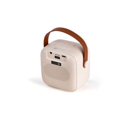 CONNECT IT CSP-1010-BG - LED RGB Reproduktor s bezdrátovými mikrofony 2Mic 5W/1200 mAh + 2x 400 mAh krémová/zlatá