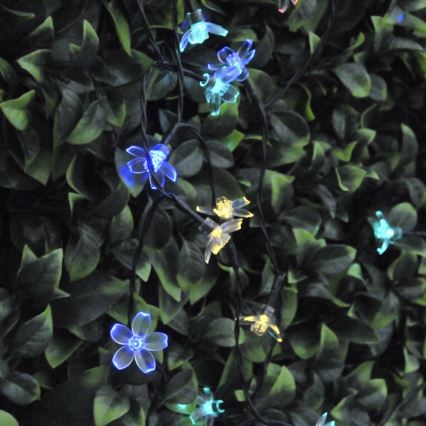 LED RGB Solární řetěz FLOWER 50xLED/1,2V IP44