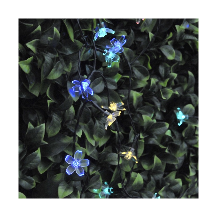 LED RGB Solární řetěz FLOWER 50xLED/1,2V IP44