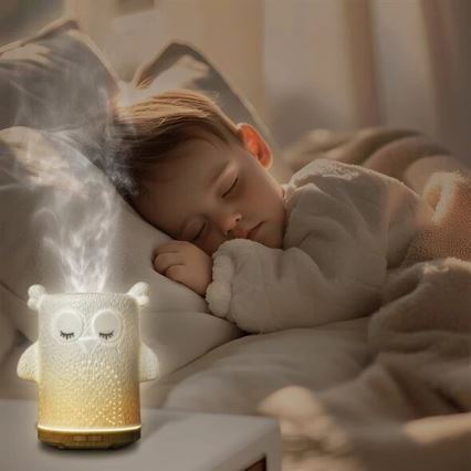 LED RGBW Aroma difuzér LED/8W/230V 100 ml sova