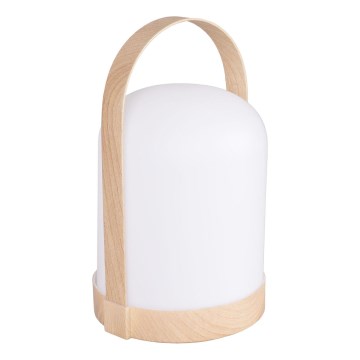 LED RGBW Dekorační stolní lampa MINORKA LED/0,3W/4,5V 3xAA