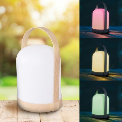 LED RGBW Dekorační stolní lampa MINORKA LED/0,3W/4,5V 3xAA