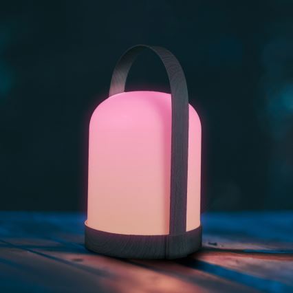 LED RGBW Dekorační stolní lampa MINORKA LED/0,3W/4,5V 3xAA