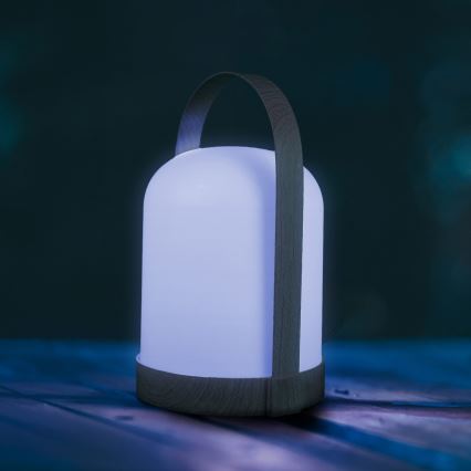 LED RGBW Dekorační stolní lampa MINORKA LED/0,3W/4,5V 3xAA