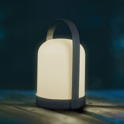 LED RGBW Dekorační stolní lampa MINORKA LED/0,3W/4,5V 3xAA