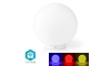 LED RGBW Stmívatelná stolní lampa SmartLife LED/5W/5V Wi-Fi 2700-6500K