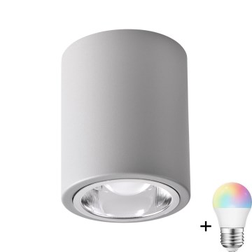 LED RGBW Stmívatelné bodové svítidlo JUPITER 1xE27/6,5W/230V 2700-6500K Wi-Fi pr. 9,8 cm šedá