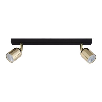 LED RGBW Stmívatelné bodové svítidlo TOP 2xGU10/6,5W/230V 2700-6500K černá/zlatá