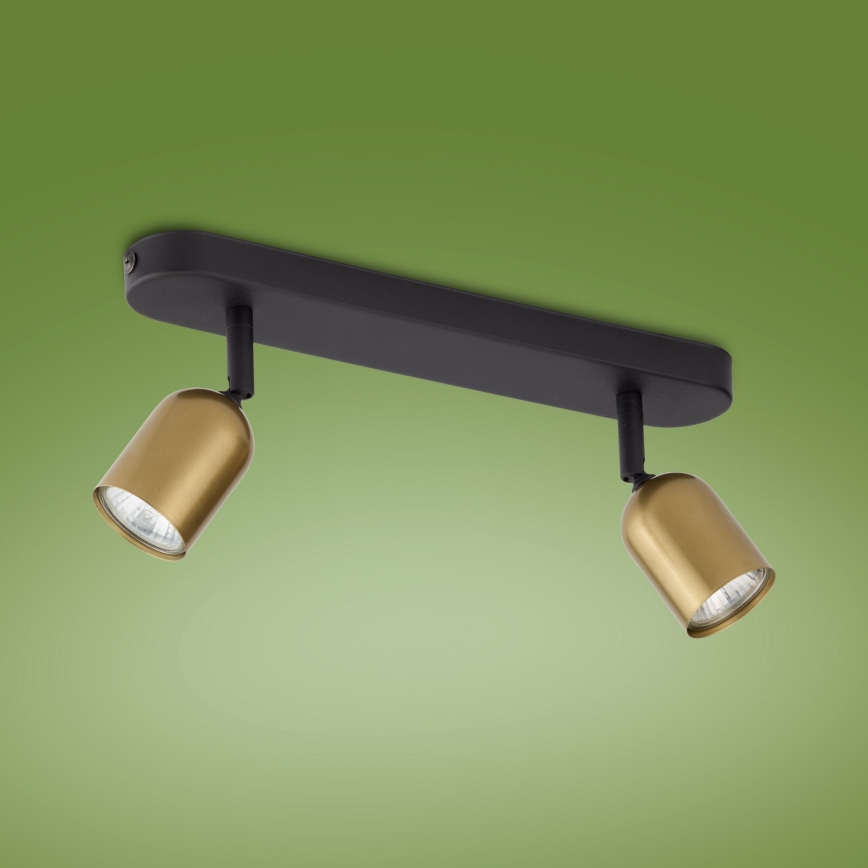 LED RGBW Stmívatelné bodové svítidlo TOP 2xGU10/6,5W/230V 2700-6500K zlatá/černá