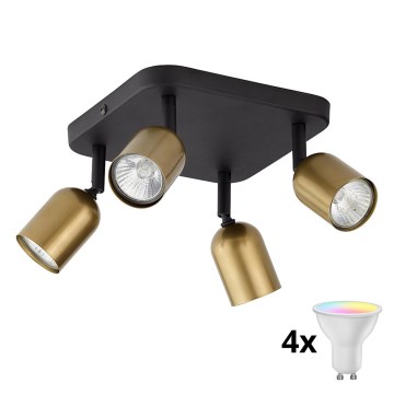 LED RGBW Stmívatelné bodové svítidlo TOP 4xGU10/6,5W/230V 2700-6500K zlatá/černá