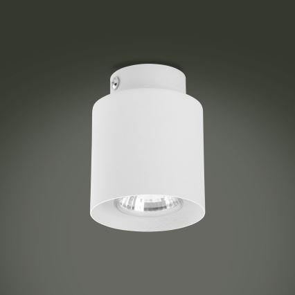 LED RGBW Stmívatelné bodové svítidlo VICO 1xGU10/6,5W/230V 2700-6500K