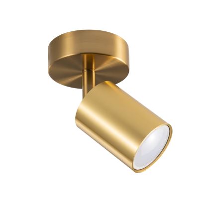 LED RGBW Stmívatelné nástěnné bodové svítidlo GOLDIE 1xGU10/4,8W/230V 3000K zlatá + dálkové ovládání