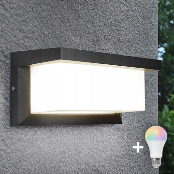 LED RGBW Stmívatelné venkovní nástěnné svítidlo NEELY 1xE27/12W/230V 2700-6500K IP54 antracit