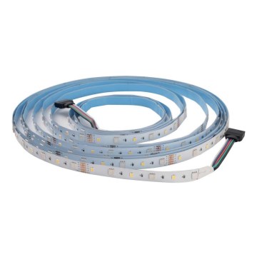 LED RGBW Stmívatelný pásek DAISY 5m studená bílá