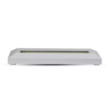 LED Schodišťové svítidlo 1xLED/3W/230V 3000K IP65