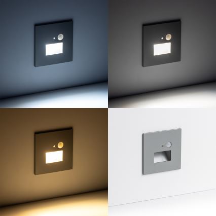 LED Schodišťové svítidlo s pohybovým senzorem LED/1,5W/230V 3000K/4000K/6500K