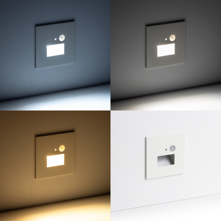 LED Schodišťové svítidlo se senzorem pohybu a soumraku LED/1,5W/230V 3000/4000/6500K bílá