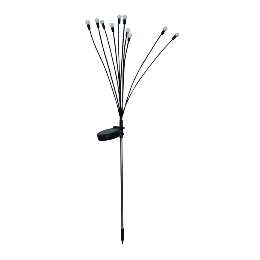 LED Solární dekorační svítidlo 10xLED/1,2V 3000K 73 cm 600 mAh IP44