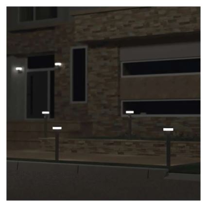 LED Solární lampa se senzorem LED/2W/3,7V 1200 mAh IP44 50 cm