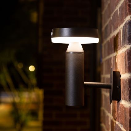 LED Solární nástěnné svítidlo se senzorem GWINEA LED/4,5W/3,7V IP44 černá