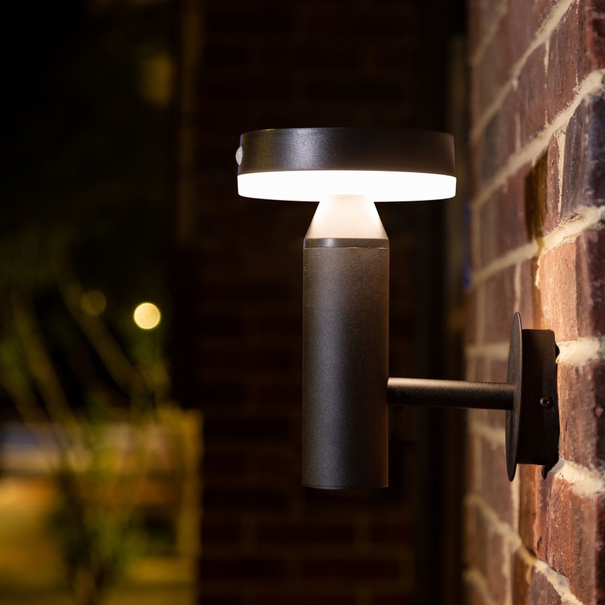 LED Solární nástěnné svítidlo se senzorem GWINEA LED/4,5W/3,7V IP44 černá