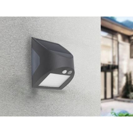 LED Solární nástěnné svítidlo se senzorem LED/3W/3,7V 3000/4000K 1200 mAh IP54 antracit