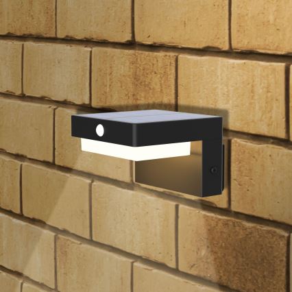 LED Solární nástěnné svítidlo se senzorem MALI LED/4,5W/3,7V 2000 mAh IP44 černá