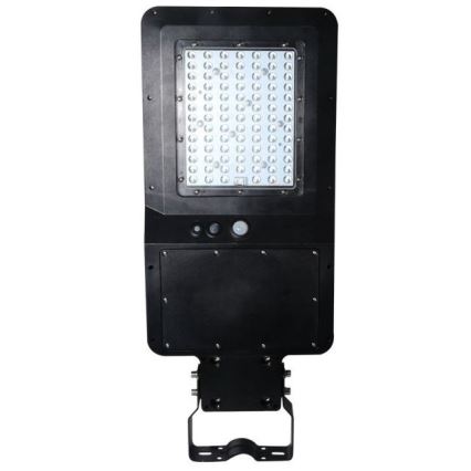 LED Solární pouliční lampa se senzorem LED/40W/9,6V IP65 6000K + dálkové ovládání