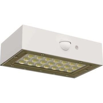 LED Solární reflektor se senzorem pohybu LED/3,7V 1200mAh 4000K IP65 bílá