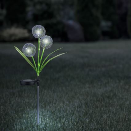 LED Solární svítidlo ALLIUM LED/1,2V 6500K 600 mAh IP44 černá