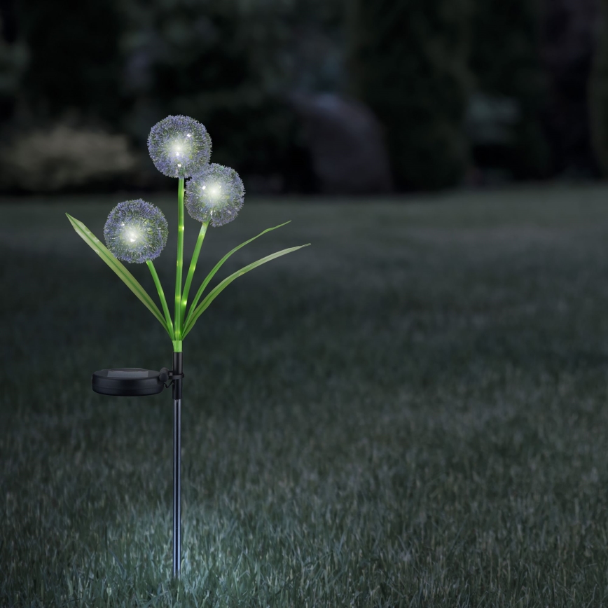 LED Solární svítidlo ALLIUM LED/1,2V 6500K 600 mAh IP44 černá