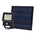 LED Solární svítidlo se senzorem LED/30W/3,7V 6500K IP65 6600 mAh