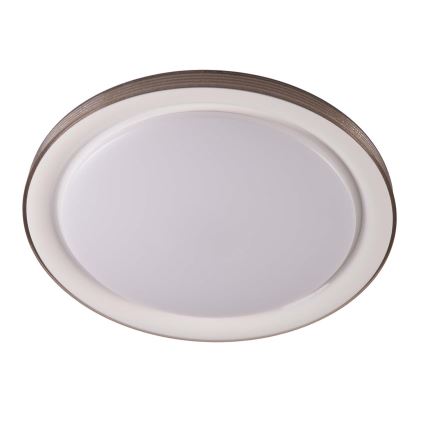 LED Stmívatelné koupelnové stropní svítidlo GRAŻYNA LED/48W/230V 3000-6000K pr. 41 cm IP44 šedá + dálkové ovládání