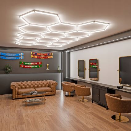 LED Stmívatelné stropní svítidlo HEXAGON LED/456W/85-265V 5000K 234x420 cm CRI 90 IP54 bílá