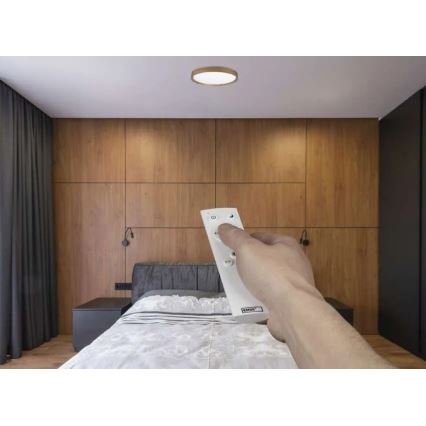 LED Stmívatelné stropní svítidlo ILVI LED/30W/230V 2700-6500K pr. 40 cm béžová + dálkové ovládání