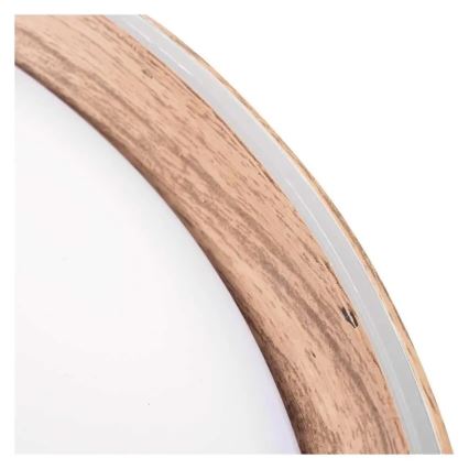 LED Stmívatelné stropní svítidlo ILVI LED/30W/230V 2700-6500K pr. 40 cm béžová + dálkové ovládání