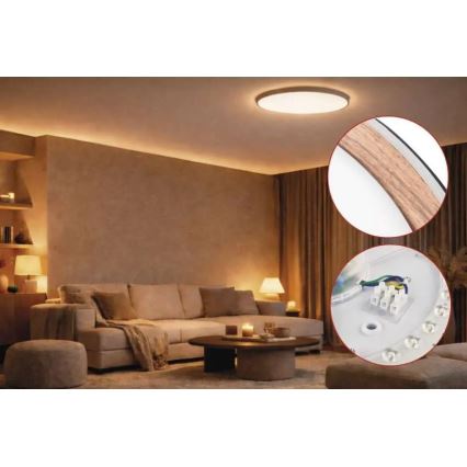 LED Stmívatelné stropní svítidlo ILVI LED/30W/230V 2700-6500K pr. 40 cm černá/béžová + dálkové ovládání