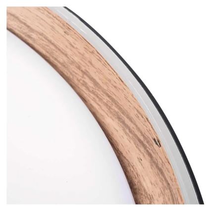 LED Stmívatelné stropní svítidlo ILVI LED/30W/230V 2700-6500K pr. 40 cm černá/béžová + dálkové ovládání
