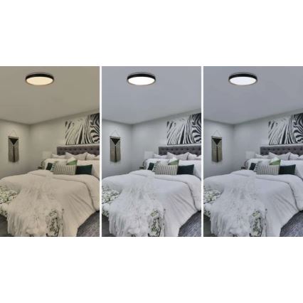 LED Stmívatelné stropní svítidlo ILVI LED/45W/230V 2700-6500K pr. 50 cm černá/béžová + dálkové ovládání