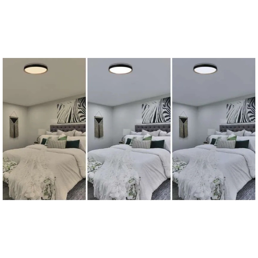 LED Stmívatelné stropní svítidlo ILVI LED/45W/230V 2700-6500K pr. 50 cm černá/béžová + dálkové ovládání
