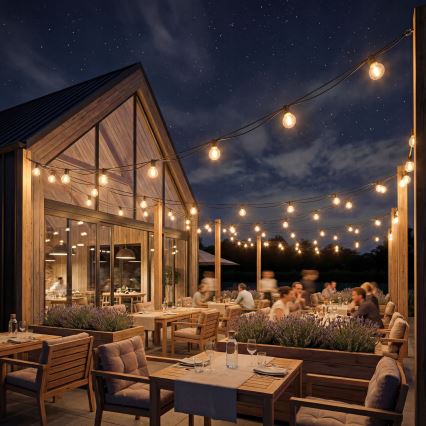 LED Stmívatelný venkovní dekorační řetěz 36xE12/1W/24/230V 22,35 m IP65 černá + dálkové ovládání
