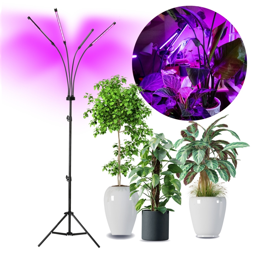 LED Stmívatelná flexibilní stojací lampa pro pěstování rostlin VITARO 4xLED/7,5W/230V černá