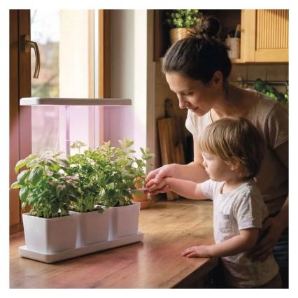 LED Stmívatelná interiérová lampa pro pěstování rostlin GROW LED/7W/5V