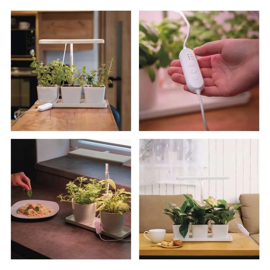 LED Stmívatelná interiérová lampa pro pěstování rostlin GROW LED/7W/5V