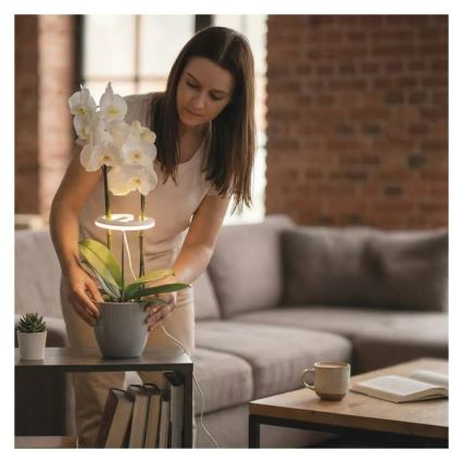 LED Stmívatelná interiérová lampa pro pěstování rostlin GROW LED/8W/5V