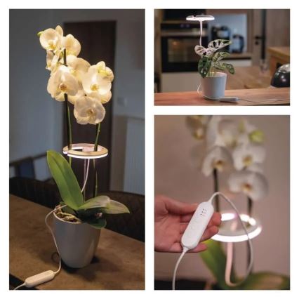 LED Stmívatelná interiérová lampa pro pěstování rostlin GROW LED/8W/5V