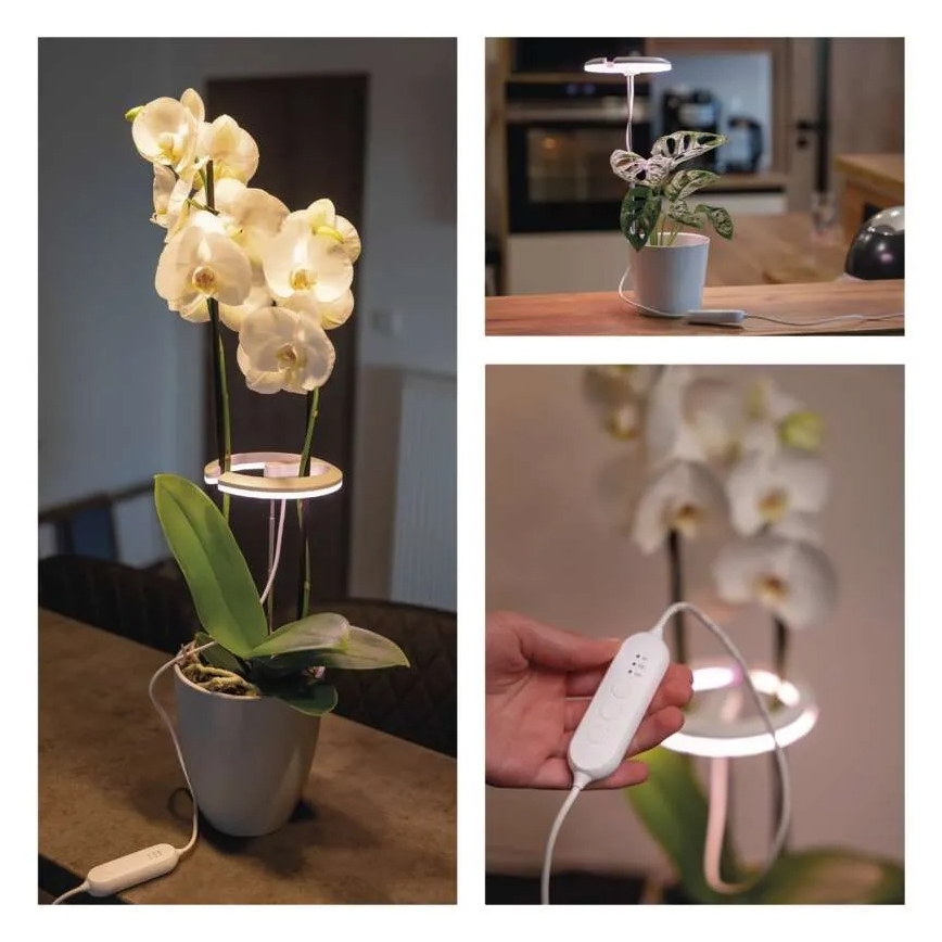 LED Stmívatelná interiérová lampa pro pěstování rostlin GROW LED/8W/5V