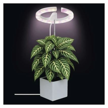 LED Stmívatelná interiérová lampa pro pěstování rostlin GROW LED/8W/5V