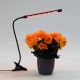 LED Stmívatelná lampa s klipem pro osvětlení rostlin LED/3W/230V černá